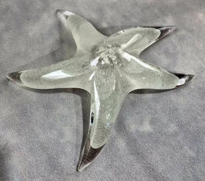 #02252604 Starfish Glows in the dark 6.75'' W $100.00 #02252604 Starfish Glows in the dark 6.75'' W $100.00