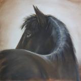 Mane Support Equine Counselors' Gallery Mane Support Equine Counselors' Gallery