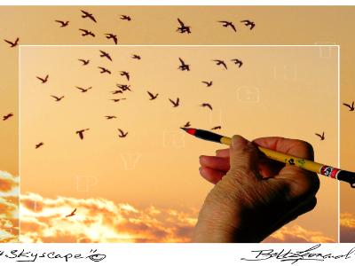 Skyscape Skyscape