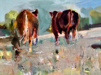 Sicilian Cows Sicilian Cows