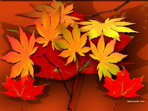 Autumnleaves