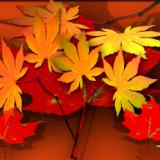 Autumnleaves