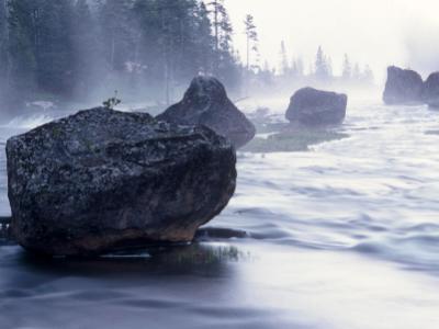 Morning - Gibbon River