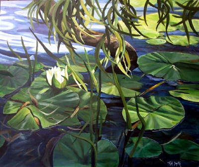 Water Lily Jubilee Water Lily Jubilee