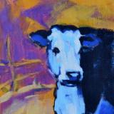 Just a Cow