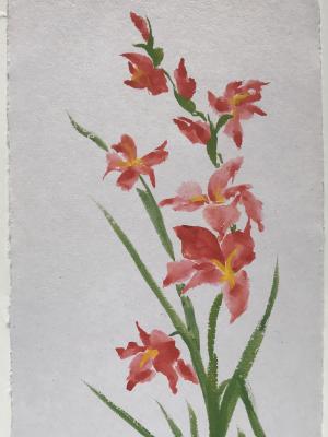 28x20" Gladiolus (available) 28x20" Gladiolus (available)