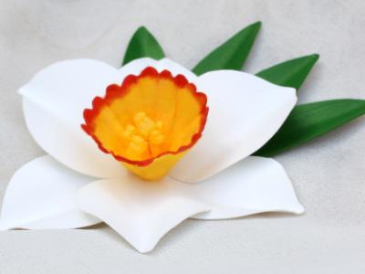 Narcissus Pin Narcissus Pin