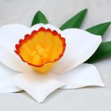 Narcissus Pin