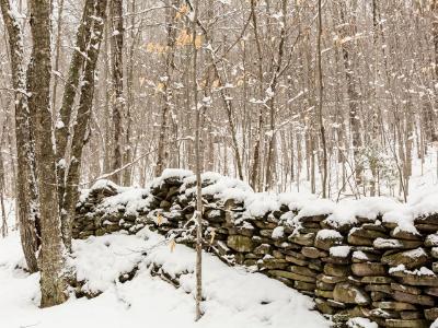 Catskills Stone Wall Catskills Stone Wall