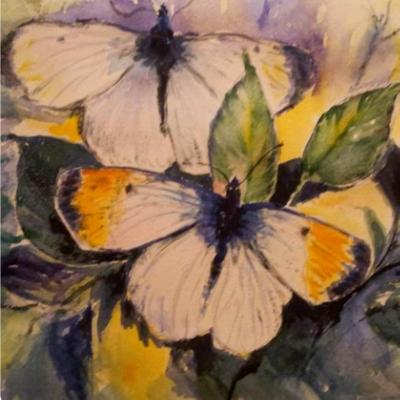 Butterfly series 9 Butterfly series 9