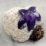 #09162505 Starfish on rock Purple 5.25''HX7''WX5.5''D $150.00