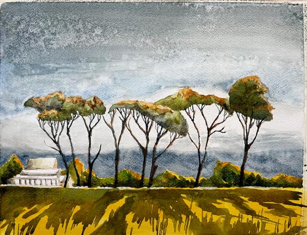 The Pines of Ferndale