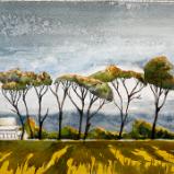 The Pines of Ferndale