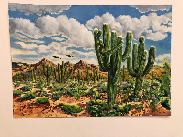 Two Large Saguaros