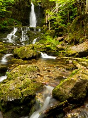 Dickson Falls Vertical Dickson Falls Vertical