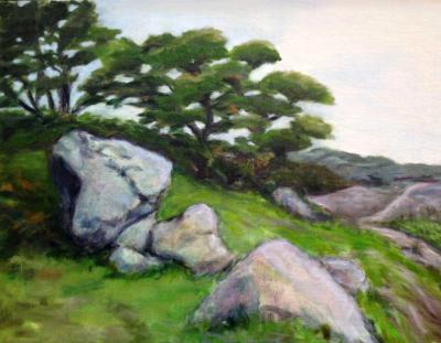 Boulders on a Hill Boulders on a Hill