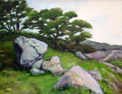 Boulders on a Hill