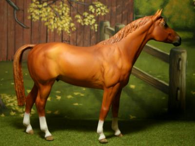 New! Custom repaint.