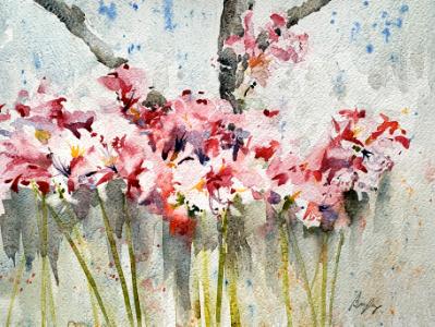 Amaryllis Belladonna