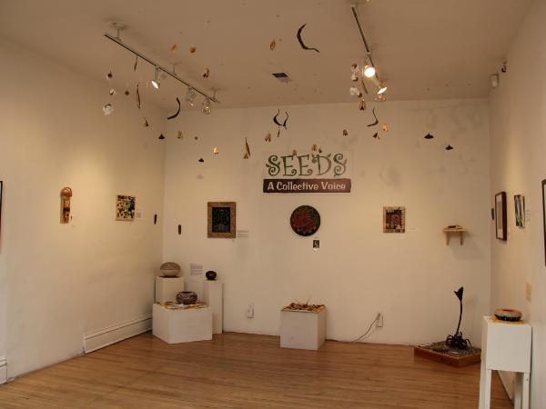 Seeds: A Collective Voice, Albuquerque, NM