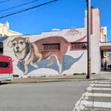 SF - Dog Mural