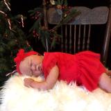 Christmas 2016  Show entry: Summer Rain (I.L)