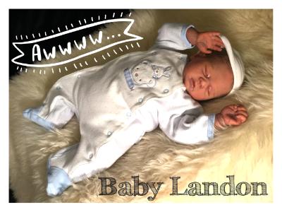 Preemie Reborn Baby ~ Landon ~ ADOPTED/SOLD