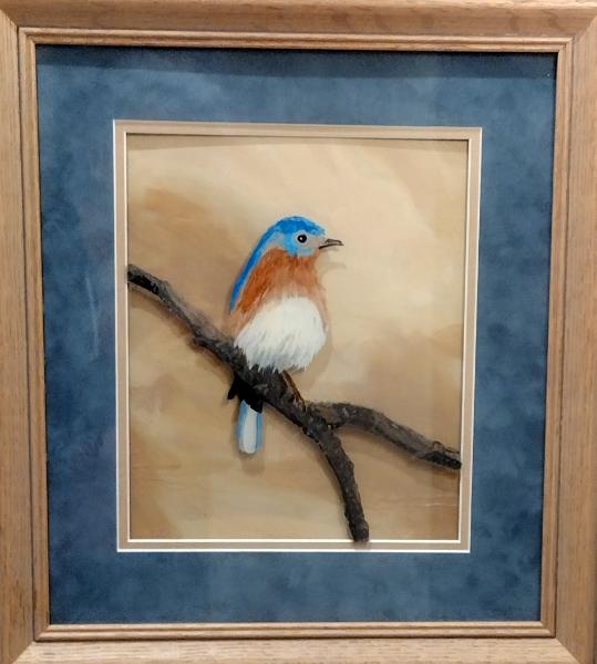 Spring Bluebird