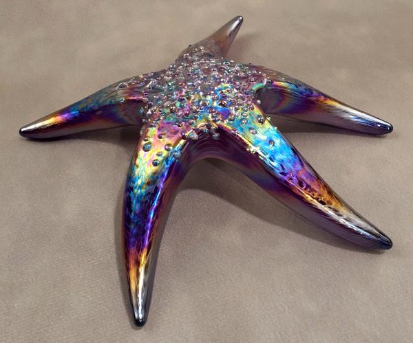 #19 #10262641 Starfish with wall hanger Iridised 7''W $90.00