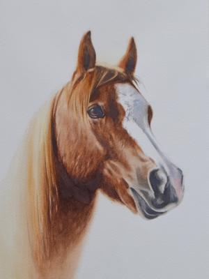 CINDY, 25cm x 35cm, 2017 CINDY, 25cm x 35cm, 2017