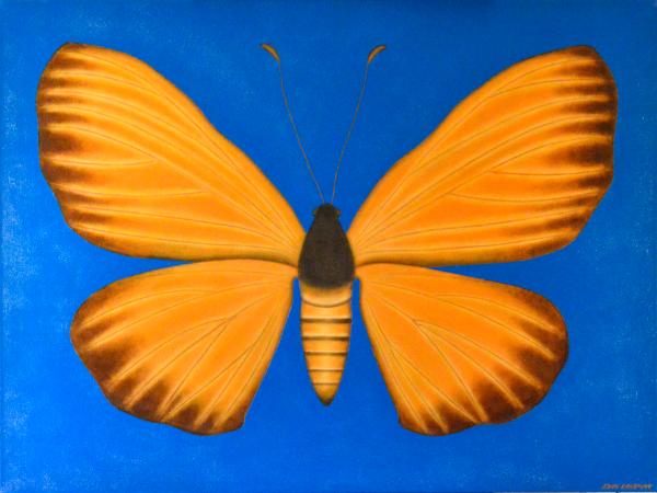 Moth I