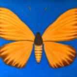 Moth I (Sold)