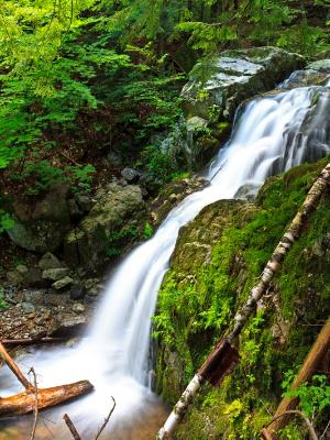 Silky Adirondack Cascade Silky Adirondack Cascade