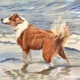 Watercolor Watercolor