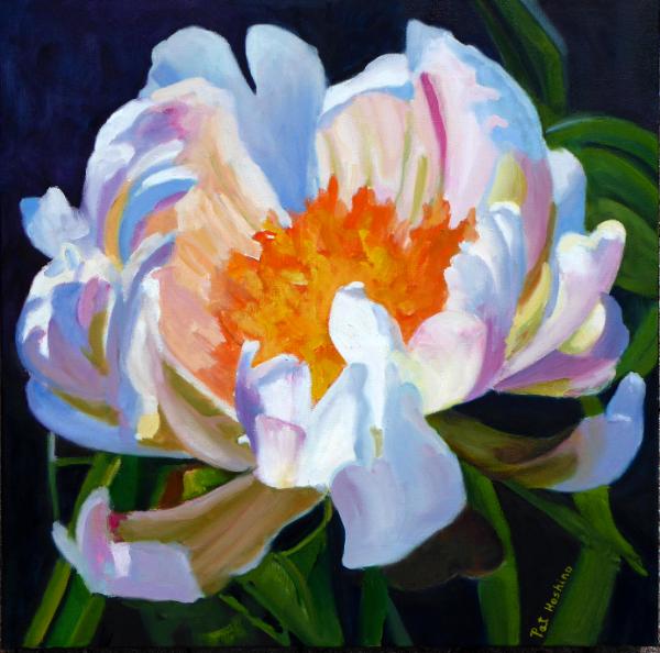 PEONY - OIL - 20X20 SOLD