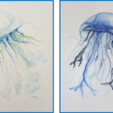 Jellyfish 