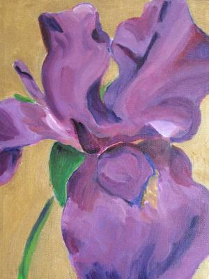 Iris Abbreviated