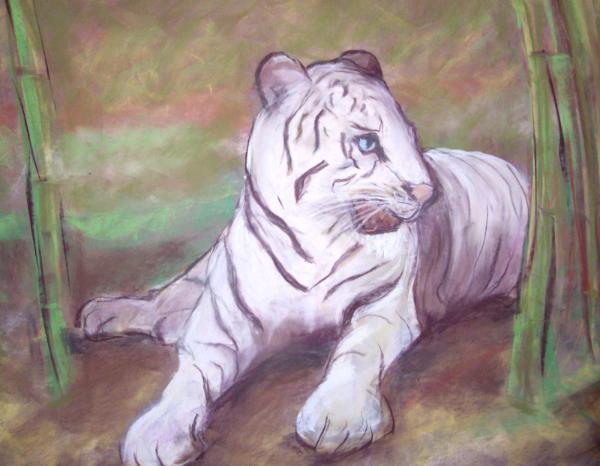 Siberian White Tiger