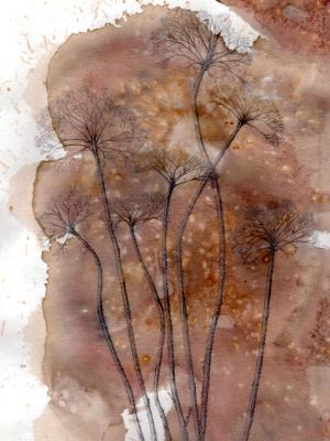 Achilles Yarrow Achilles Yarrow