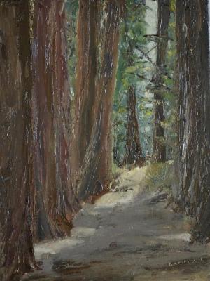 *Redwood Path, Strout Grove 12 x9 (available) *Redwood Path, Strout Grove 12 x9 (available)