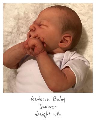 Newborn Baby~ JUNIPER ~ ADOPTED/SOLD