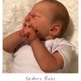 Newborn Baby~ JUNIPER ~ ADOPTED/SOLD