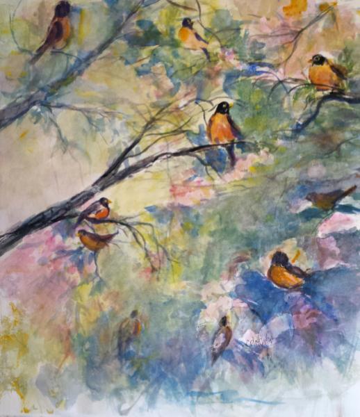 Robins in Spring