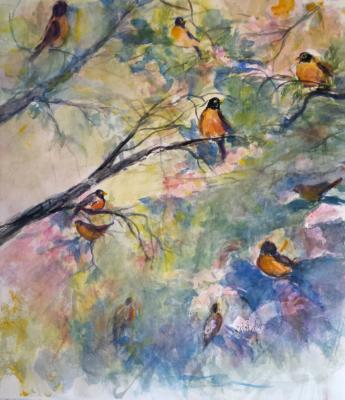 Robins in Spring