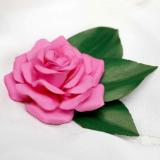 Pink Rose Pin