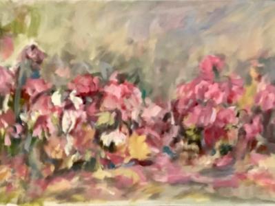 SOLD More peonies in the garden