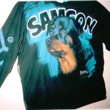 Samson-Jay Dog