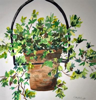 Flower Pot