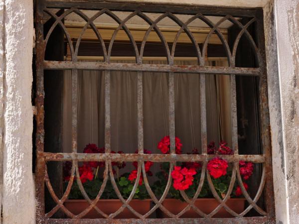 Red Flowers in Venice