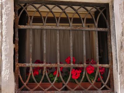 Red Flowers in Venice Red Flowers in Venice